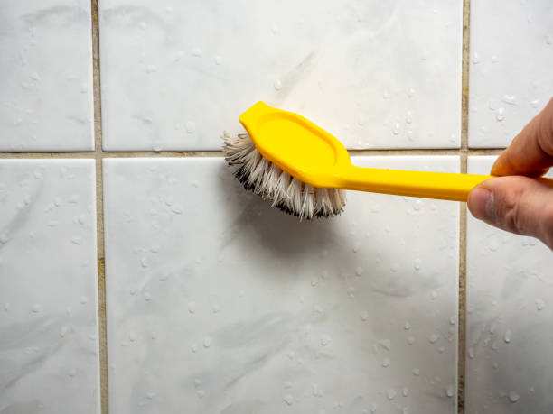 Best Mold Remediation for Specific Building Types in Crockett, CA
